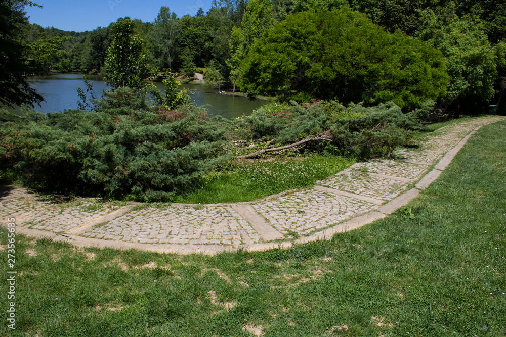 Stone paved road and trees by the lake Stone paved road and trees by the lake