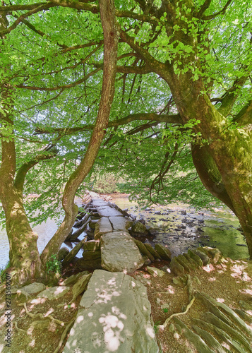 Tarr Steps, Exmoor National Park, Somerset in spring photo