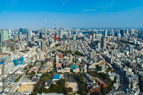 view of Tokyo city  Japan