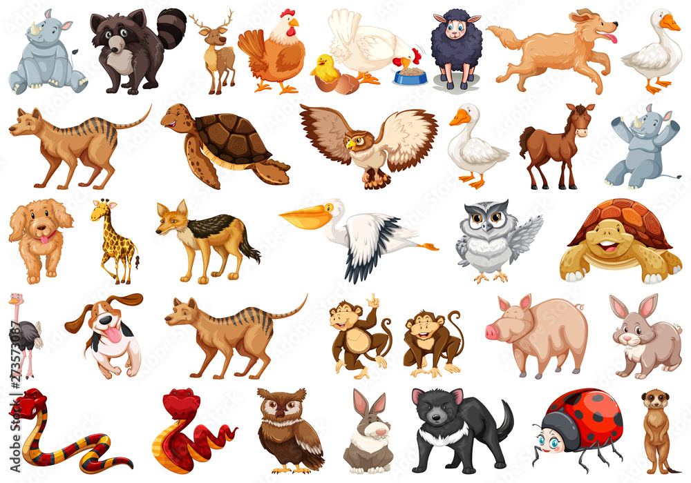 Set of animal character Set of animal character