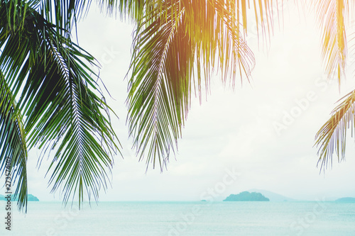 Coconut palm tree beach summer concept