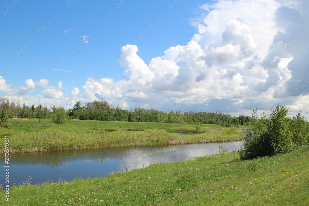 Gathering Clouds Over The Wetlands, Pylypow Wetlands, Edmonton, Alberta Gathering Clouds Over The Wetlands, Pylypow Wetlands, Edmonton, Alberta