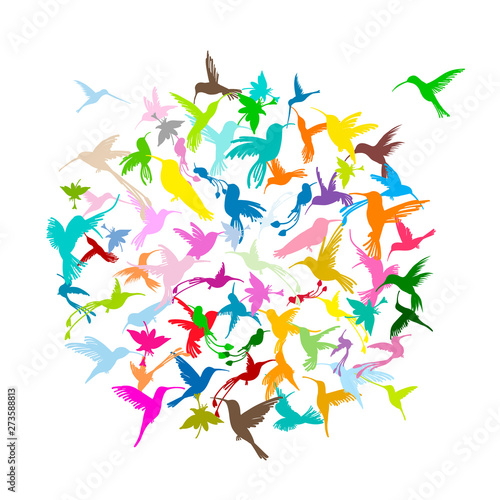 Colibri collection, sketch for your design