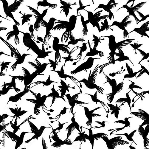 Colibri collection, sketch for your design