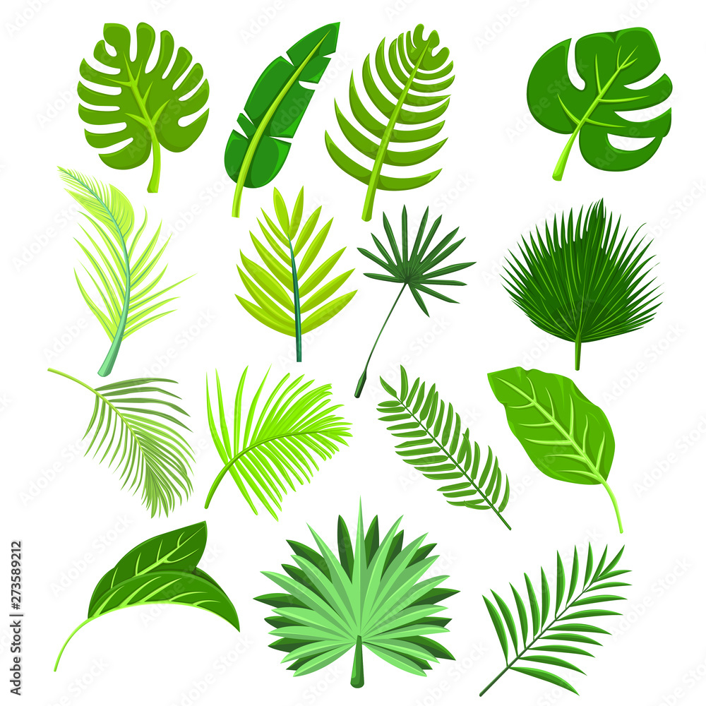 Botanical fresh leaves in tropical design Botanical fresh leaves in tropical design