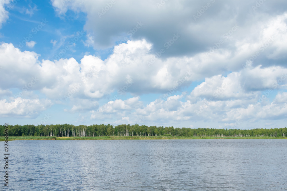 blue sky with white clouds above the lake in the forest