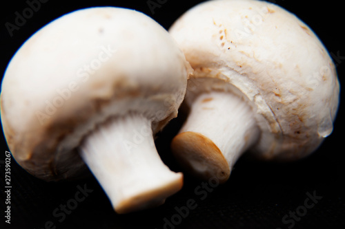 champion mushrooms in close-up
