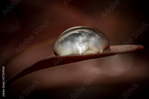 super macro view of a water drop on a leaf