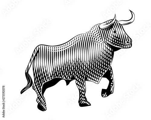 Bull Woodcut style line art illustration