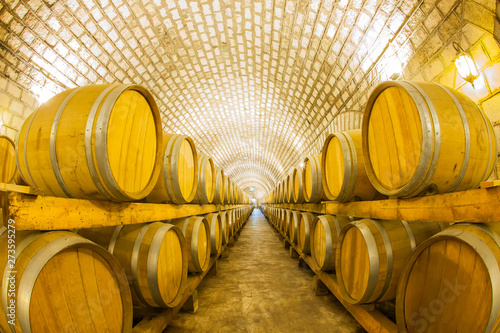  Wine Cellar with Wooden Barrels