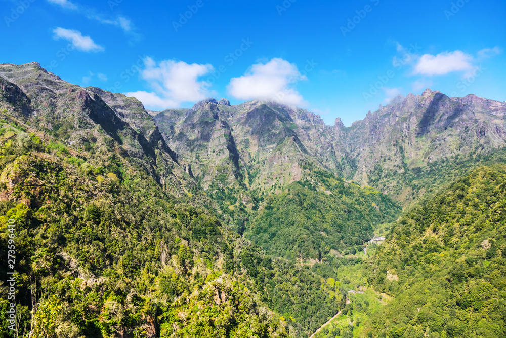Fototapeta premium Beautiful valley view of Madeira island, mountains landscape of Levada da Ribeirs da Jaxela, Portugal