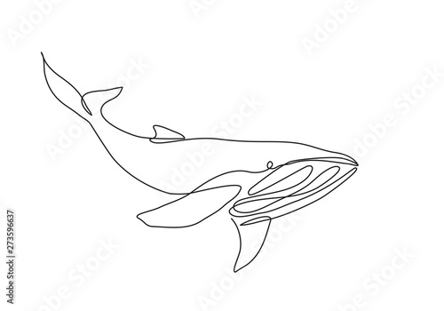 Whale One line drawing design. Hand drawn abstract minimalist style. Editable vector photo