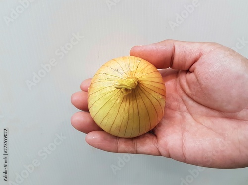 Onions on the hands, white background