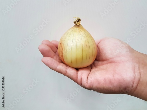 Onions on the hands, white background