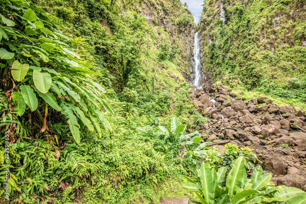 Trafalgar falls, Morne Trois Pitons National Park, Dominica Trafalgar falls, Morne Trois Pitons National Park, Dominica
