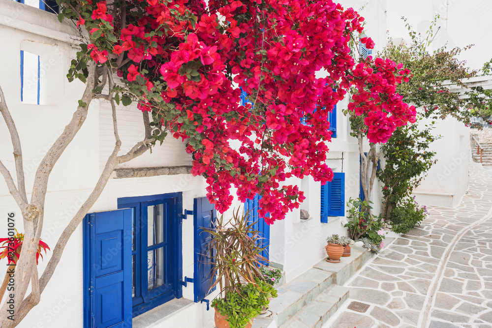 Naklejka premium Traditional greek house with flowers in Paros island, Cyclades, Greece
