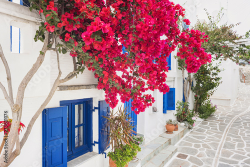 Fototapeta Naklejka Na Ścianę i Meble -  Traditional greek house with flowers in Paros island, Cyclades, Greece