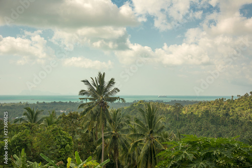 Exotic tropical viewpoint from the Koh Samui Island in the Thailand with palms and trees and view on the sea