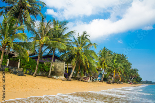 Samui MaeNam morning beach with coconut palms under sky. Happy vacation, relaxation, idyllic landscape