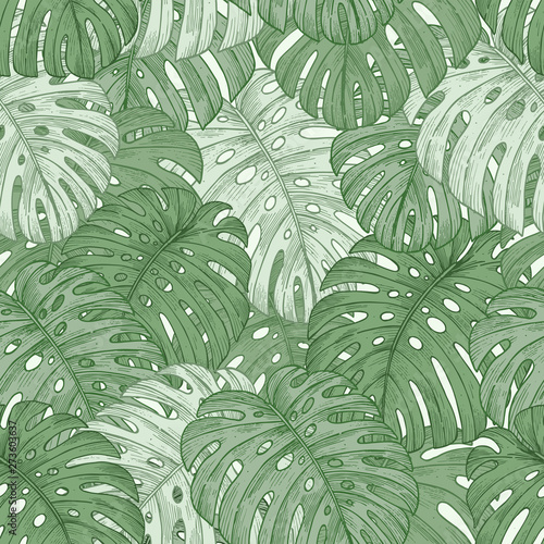 Green tropical monstera leaves seamless pattern. Jungle background. Vector illustration