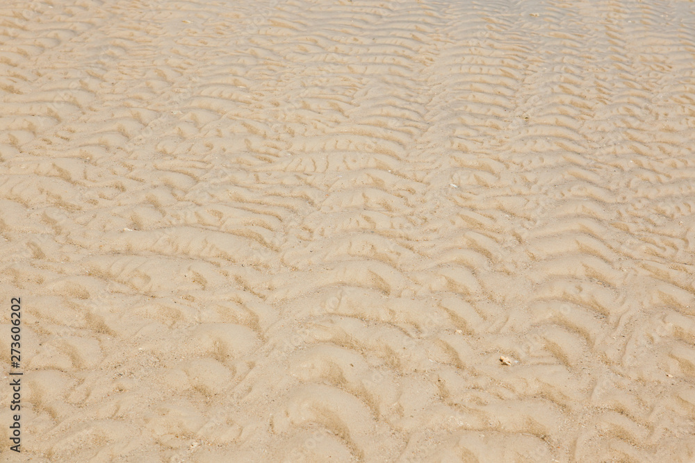 sand texture and background sand texture and background