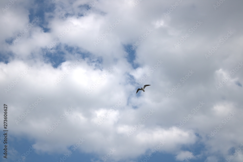 Cloud on background sky