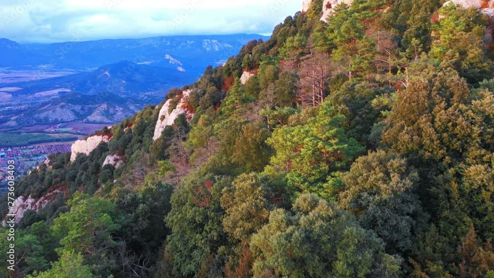 Oak forest in a hillside. Montejurra mountain. Navarre, Spain, Europe. 4K. Oak forest in a hillside. Montejurra mountain. Navarre, Spain, Europe. 4K.