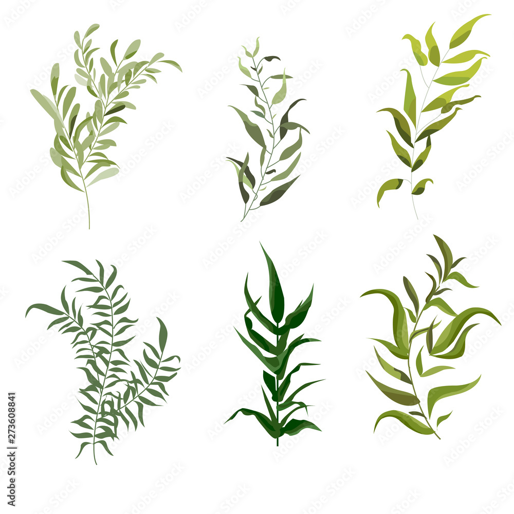 Vector designer set of forest fern, tropical green eucalyptus greenery art foliage natural leaves herbs in watercolor style. Decorative elegant illustration for design, wedding and invitation cards Vector designer set of forest fern, tropical green eucalyptus greenery art foliage natural leaves herbs in watercolor style. Decorative elegant illustration for design, wedding and invitation cards