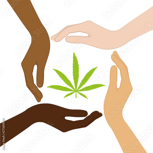 cannabis leaf in the middle of human hands with different skin colors vector illustration EPS10