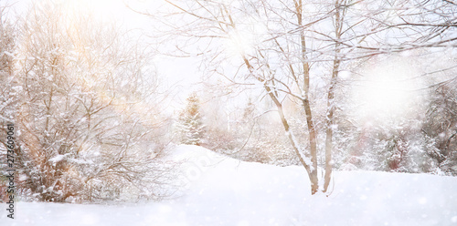 Winter Park. Landscape in snowy weather. January. © alexkich