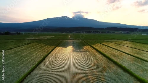 朝の水田風景と鳥海山空撮