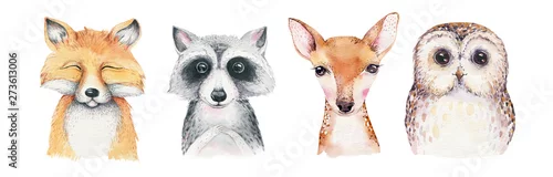 Panel kuchenny z motywem Watercolor set of forest cartoon isolated cute baby fox, deer, raccoon and owl animal with flowers. Nursery woodland illustration. Bohemian boho drawing for nursery poster, pattern