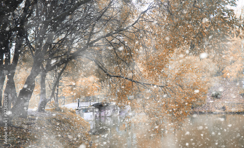 Autumn park in the first snow © alexkich