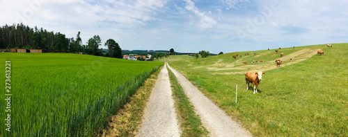 Panorama Bayern Oberpfalz