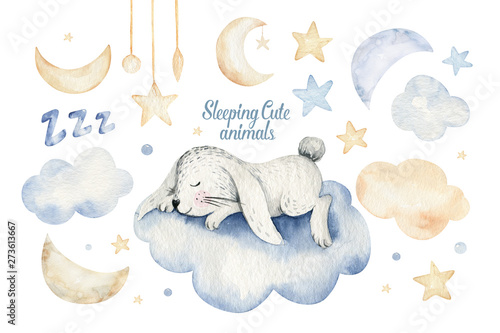 Cute dreaming cartoon animal hand drawn watercolor illustration. Sleeping charecher kids nursery wear fashion design, baby shower invitation card.