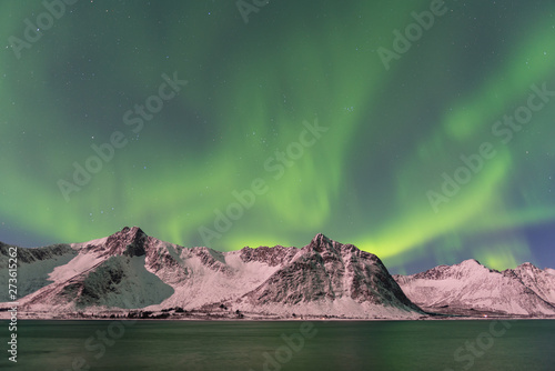 Northern lights, Senja Norway photo