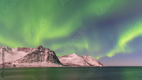 Northern lights, Senja Norway © sylviaadams