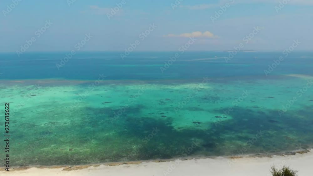Aerial: drone flying over caribbean sea coral reef uncontaminated ecosystem marine life in the Kei Islands Maluku Moluccas Indonesia scenic travel destination Aerial: drone flying over caribbean sea coral reef uncontaminated ecosystem marine life in the Kei Islands Maluku Moluccas Indonesia scenic travel destination