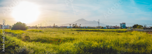 Panorama over a lush green field at sunset