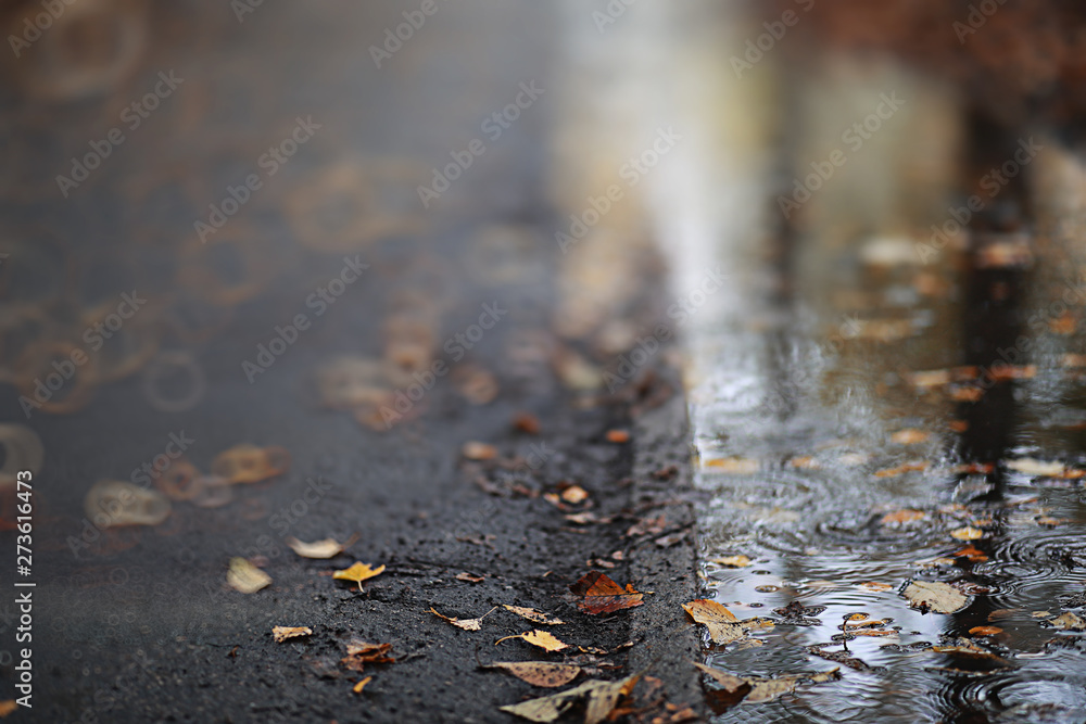 Autumn backgroun rain in the park Autumn backgroun rain in the park