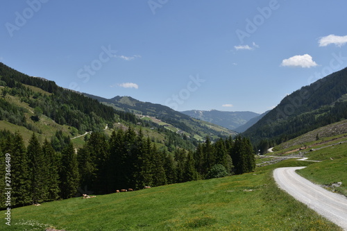 Saalbach-Hinterglemm, Salzburg, Pinzgau, Lengau, Weiler, Landwirtschaft, Bergbauerndorf, Weide, Alm, Wald, Kitzbühler Alpen, Glemmtal, Berg, Tal, wandern,  Urlaubsregion, Ferien, Sport, bergsteigen, B photo