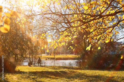 Autumn background in the park