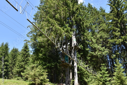 Saalbach-Hinterglemm, Wald, Kletterpark, Seil, Steg, Sport, sportlich, Salzburg, Baum, Wald, Baumstamm, Plattform, Sicherung, Seile, klettern, Brett, Holz, Nadelwald, Spaß, Schutz, Sicherheit, Nervenk photo