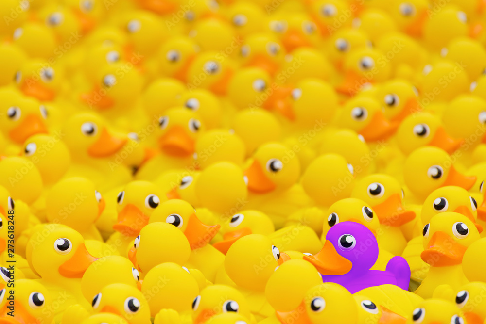Naklejka premium yellow toy duck floating in swimming pool