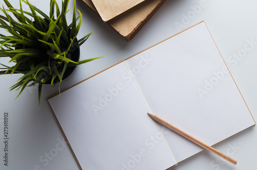 flat lay design, blank notebook with penci land old brown book on white desk, view from the top photo