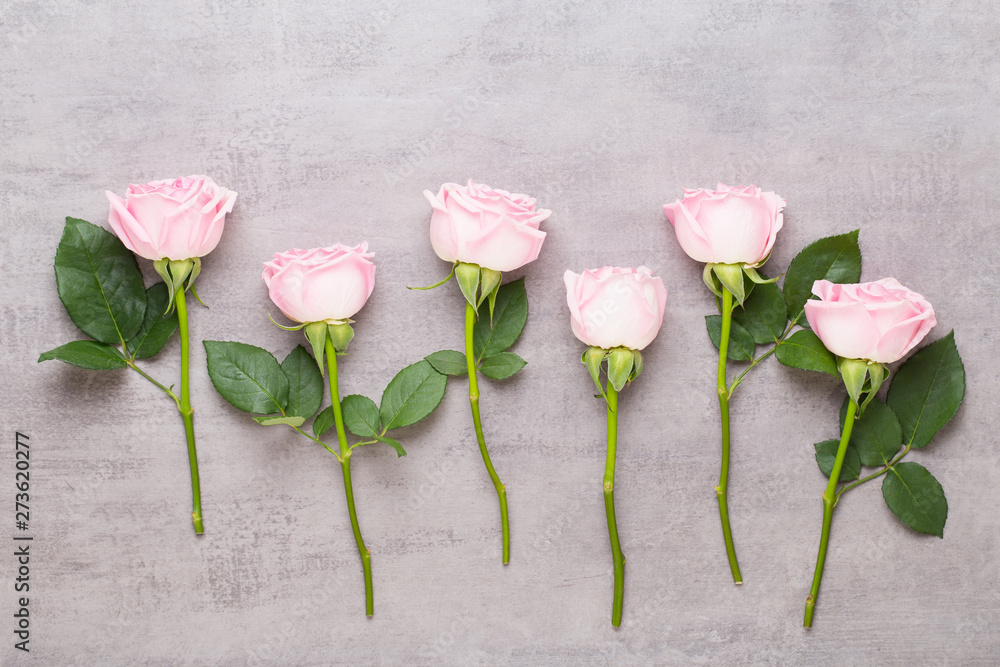 Obraz premium Flowers valentine day composition. Frame made of pink rose on gray background. Flat lay, top view, copy space.