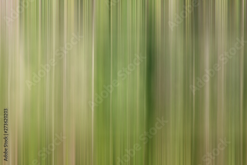 green bamboo background