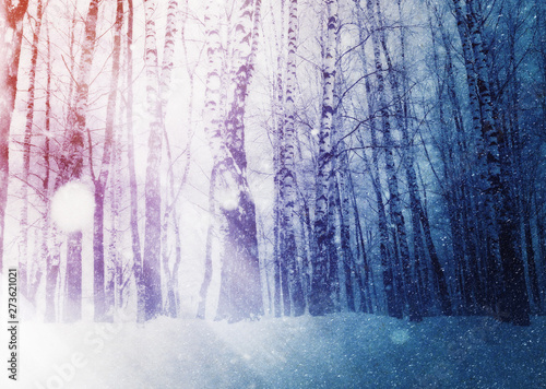 Trees under snowfall design © AnnaPa