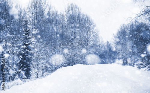Landscape in the winter day © alexkich