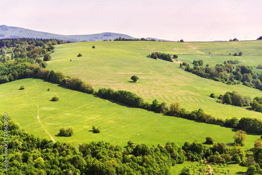 Obraz premium Beautiful summer landscape with colorful mixed forest around Zitkova village, White Carpathians, wood diversity, water retention concept, Czech Republic, sunny summer day, clear blue sky, copy space